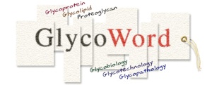 GlycoWord